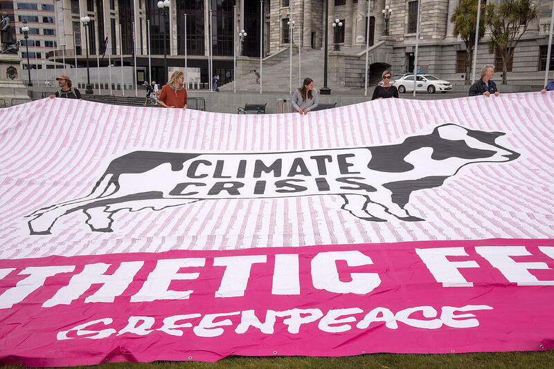 A photo of Greenpeace Aotearoa (NZ) delivering a petition to parliament. The petition is accompanied by a giant pink banner, featiuring a cow. The words "Climate Crisis / Ban Synthetic Fertiliser" are on the banner A large pink banner on Parliament steps. An illustration of a cow has the words CLIMATE CRISIS