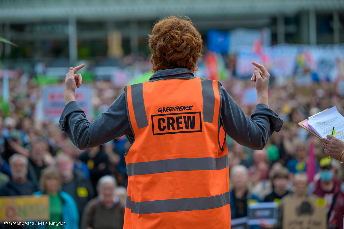 Volunteer with Greenpeace
