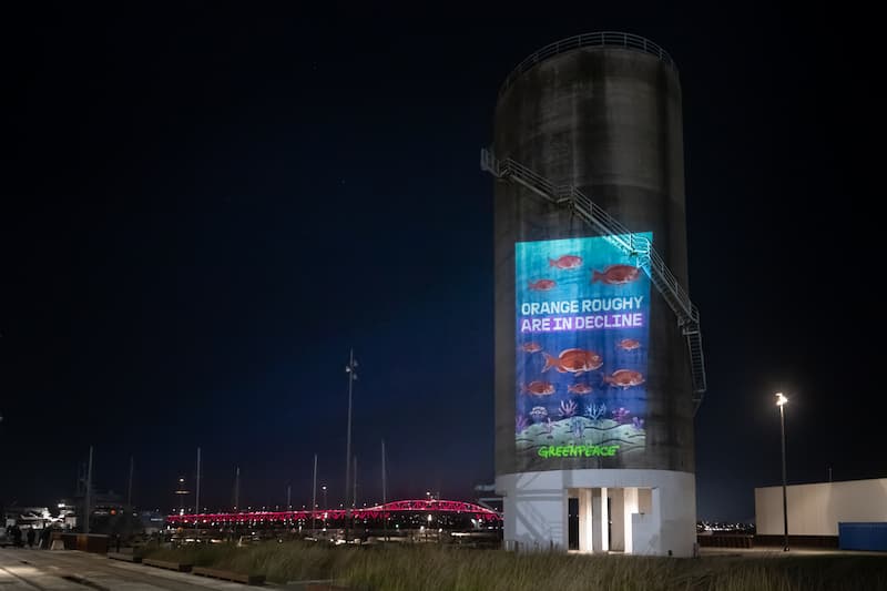 A projection of orange roughy fish and corals onto a silo on Auckland's waterfront at night with the Harbour Bridge in the background reads: orange roughy are in decline A projection of orange roughy fish and corals onto a silo on Auckland's waterfront at night with the Harbour Bridge in the background reads: orange roughy are in decline