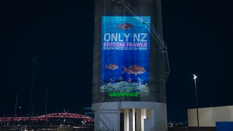 Projection showing orange roughy fish and corals on a seamount with the words: Only NZ Bottom Trawls South Pacific High Seas Projection showing orange roughy fish and corals on a seamount with the words: Only NZ Bottom Trawls South Pacific High Seas