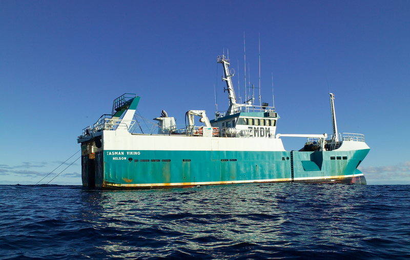 Coral pulled up by NZ trawler “environmental vandalism”
