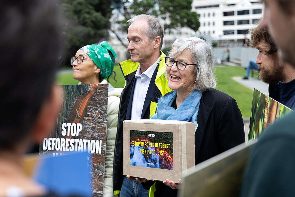 Greenpeace International forest campaigner, Grant Rosoman presents a petition to Green Party MP Eugenie Sage, along with Greenpeace activists holding large colourful photographic depictions of the forests in question and the harm that’s being done to them. Greenpeace International forest campaigner, Grant Rosoman presents a petition to Green Party MP Eugenie Sage, along with Greenpeace activists holding large colourful photographic depictions of the forests in question and the harm that’s being done to them.