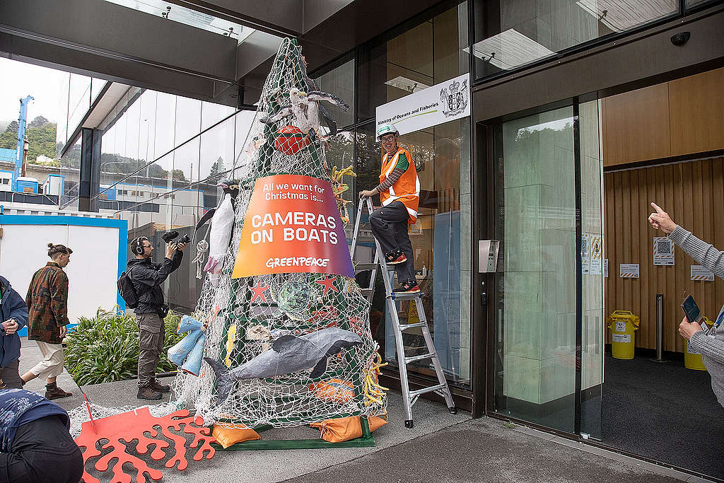 Greenpeace activists deliver bycatch Christmas tree to Ministry of Fisheries, calling for cameras on boats at the Ministry of Fisheries building in Wellington on Tuesday the 8th of December 2020. (C) Greenpeace / Marty Melville