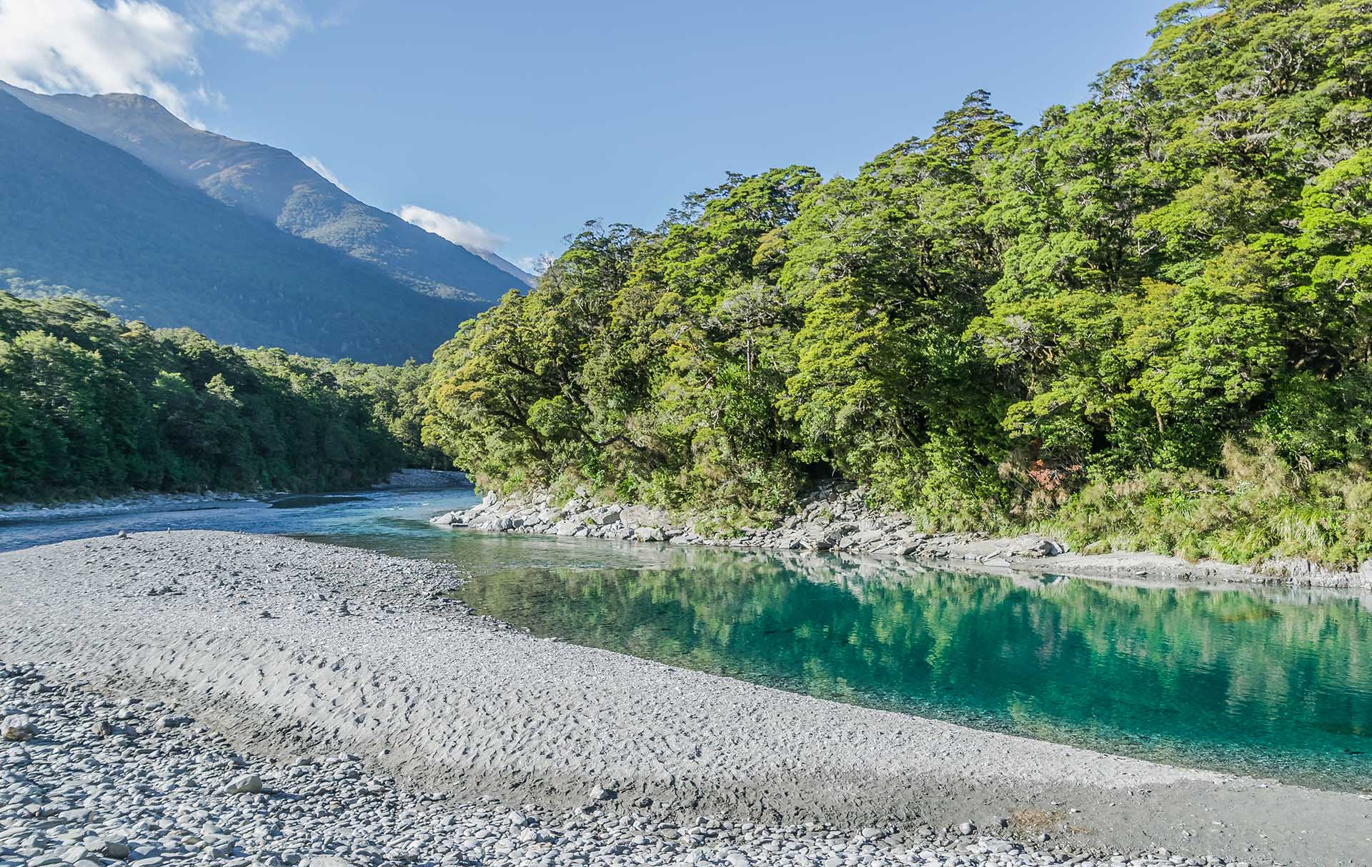 Top trout fishing rivers in New Zealand