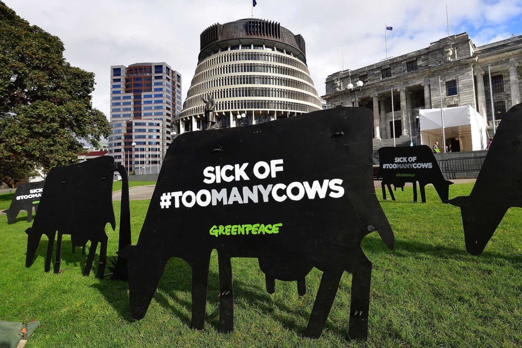 There are too many cows in New Zealand. It’s contaminating rivers and drinking water. And polluted water means sick people.