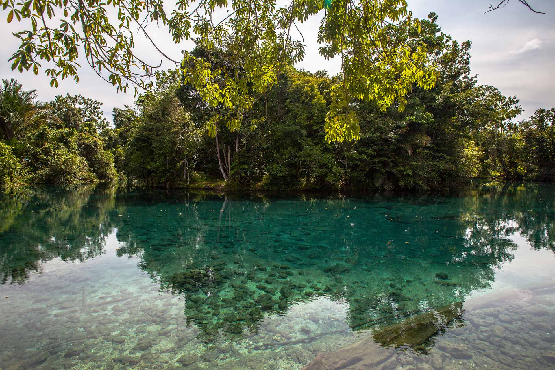 #Freshwater