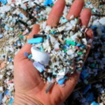 Greenpeace renews call to ban plastic bottles following dangerous levels of microplastics discovered around BOP moana