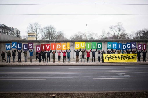 Volunteer with Greenpeace