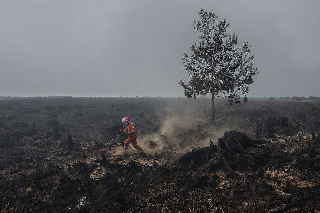 FFP Deployment at PT SUM Concession in Kubu Raya, West Kalimantan. © Rendra Hernawan