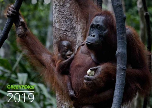 2019-calendar-greenpeace-aotearoa