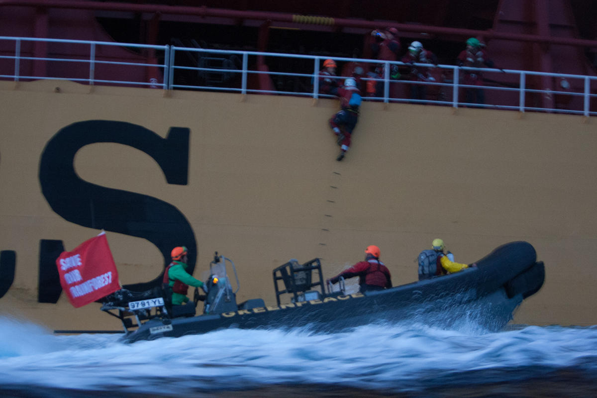 Six Greenpeace activists arrested on board a ship loaded with palm oil ...