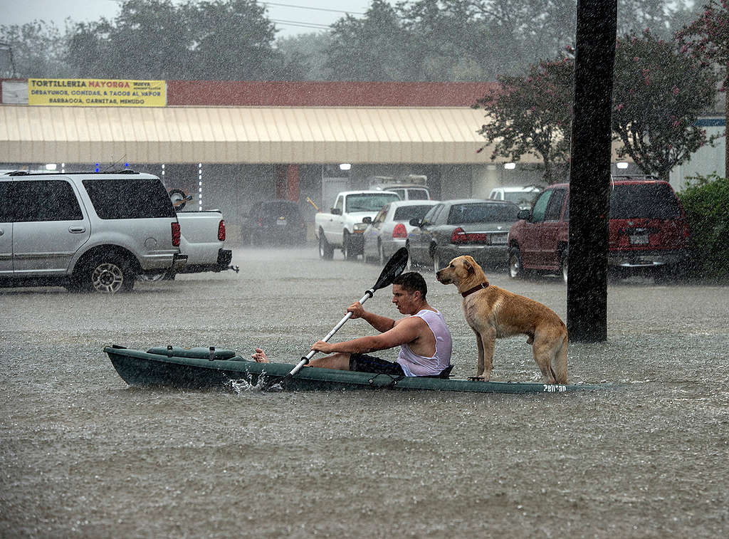 Lee Terrell paddles his kayak on flooded Highway 249 with his dog, Samson, during Hurricane Harvey in Houston.