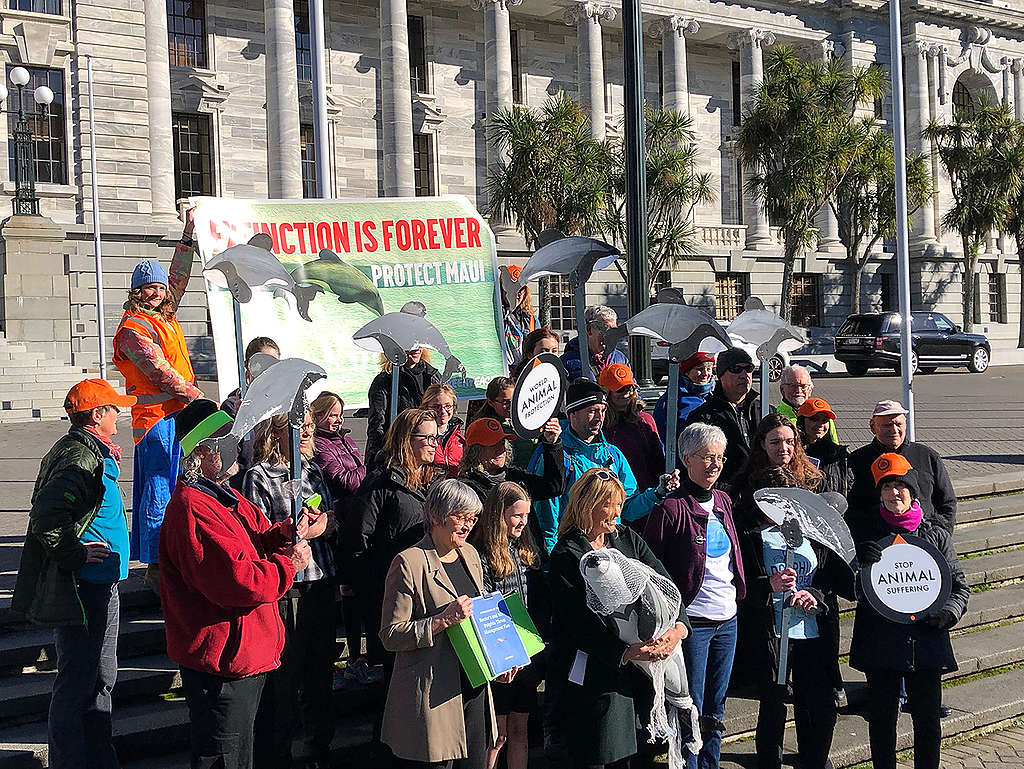 Maui petition handover at Parliament in Wellington