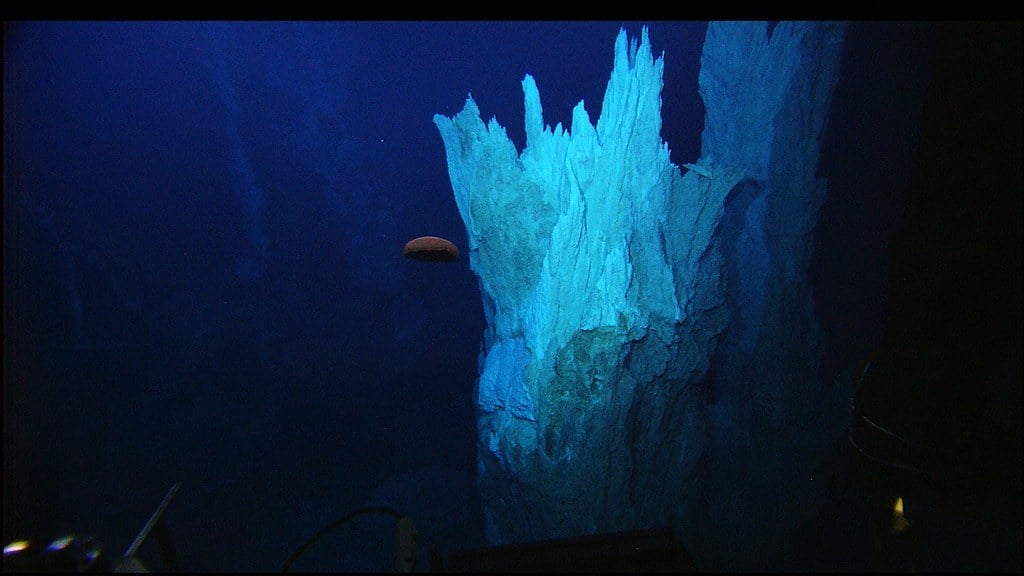 deep sea mining, hydrothermal vents, covid 19, how the ocean helps i nthe fight against covid 19, deep sea ecosystems, protect the oceans
