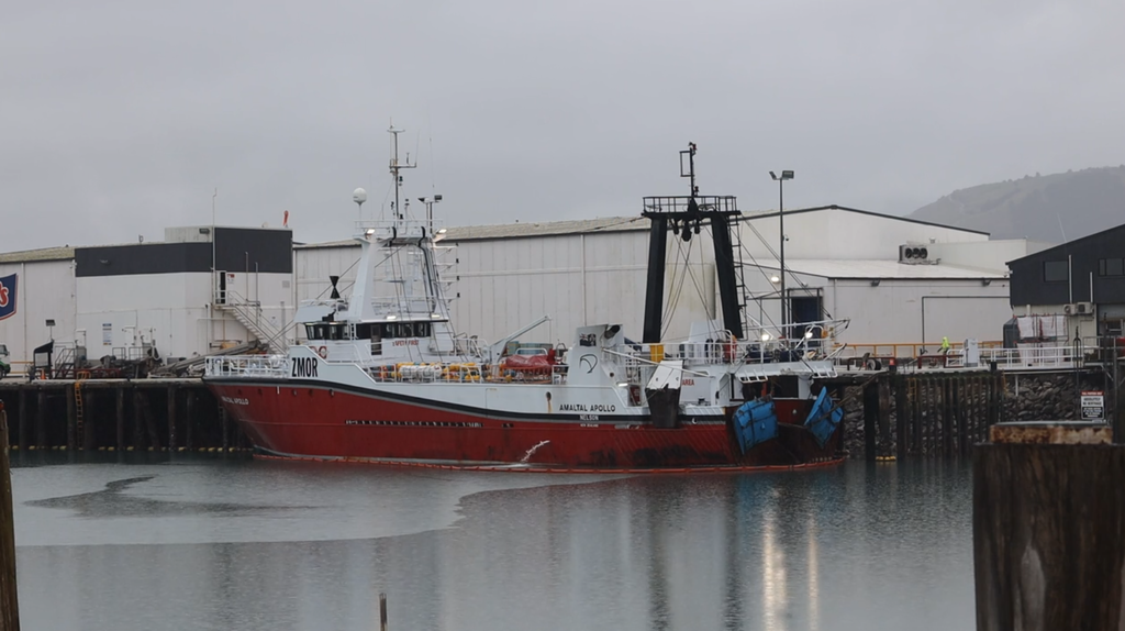 Amaltal Apollo, Amaltal, Talley's, Talley's Deepwater Division, New Zealand Fisheries, Bottom Trawling, Bottom Trawling Vessels, Talley's bottom trawling ships