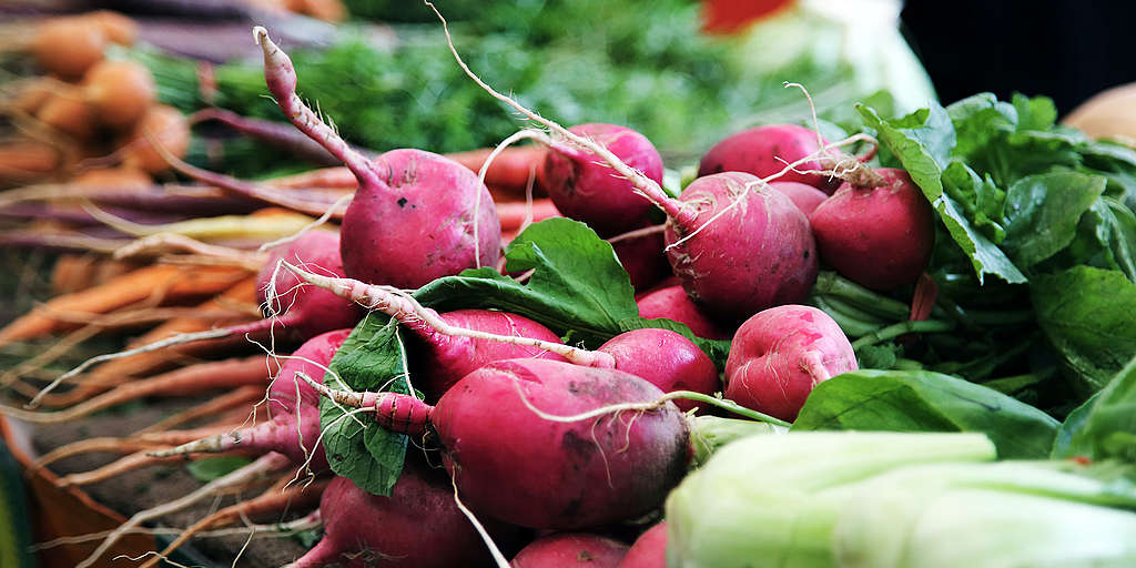 Regenerative agriculture can produce high yields with minimal inputs