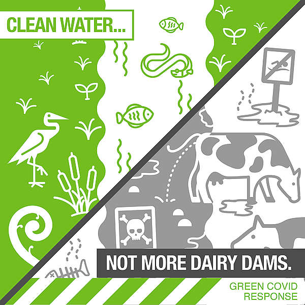 The Covid economic stimulus infrastructure package must protect clean water not build more dairy dams