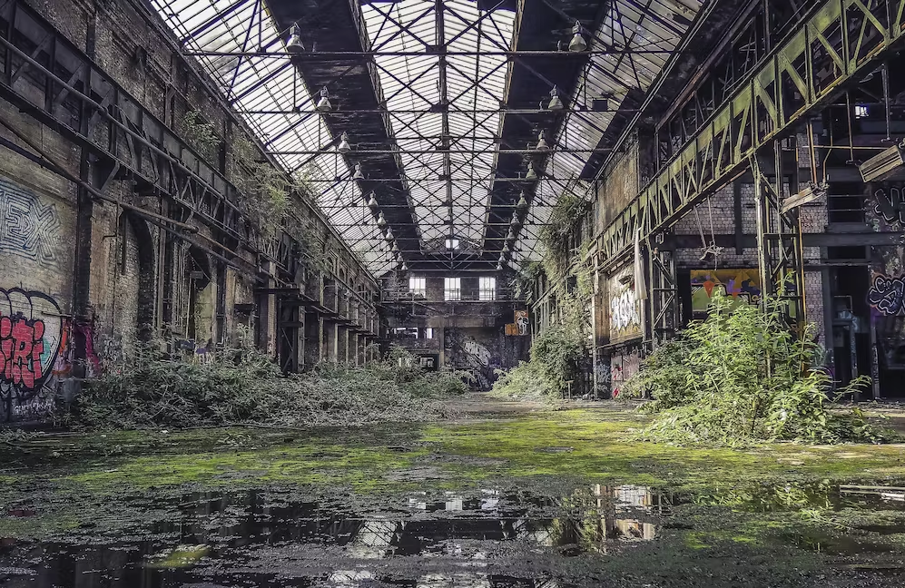 Nature can reclaim places that have been totally abandoned for years, creating novel ecosystems. Pixabay, CC BY