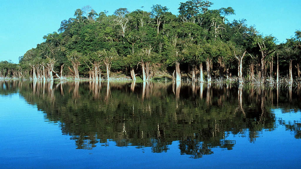 River and rainforest. Amazon, Brazil © Greenpeace / John Novis River and rainforest. Amazon, Brazil © Greenpeace / John Novis