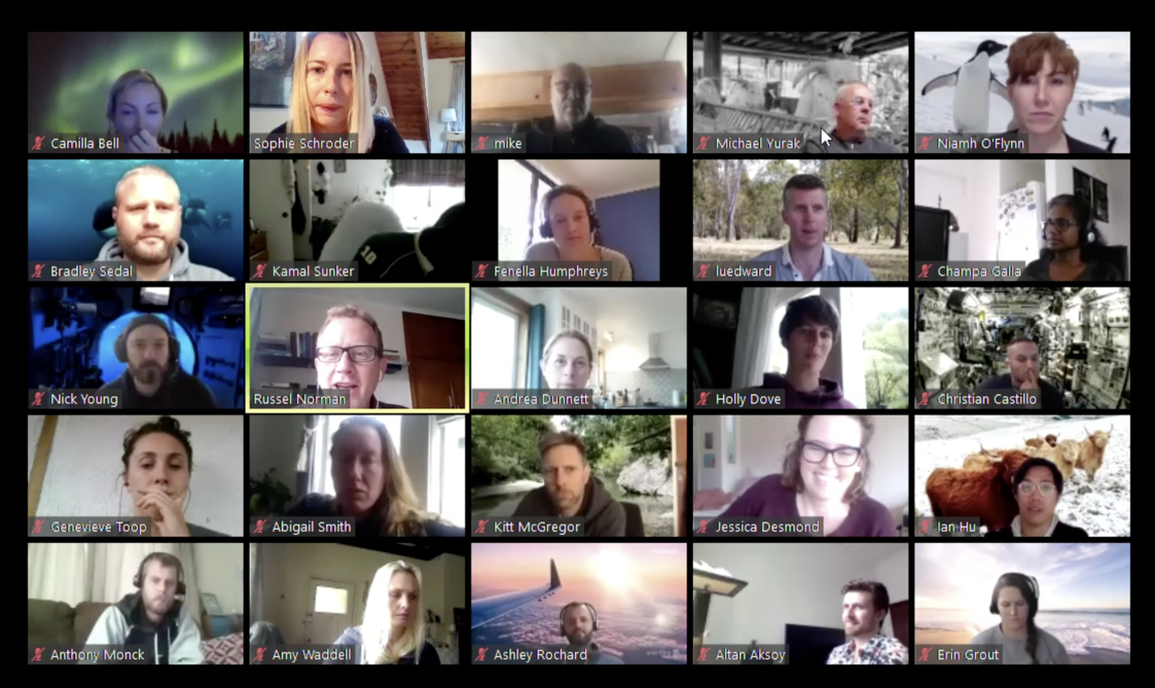 Greenpeace New Zealand team