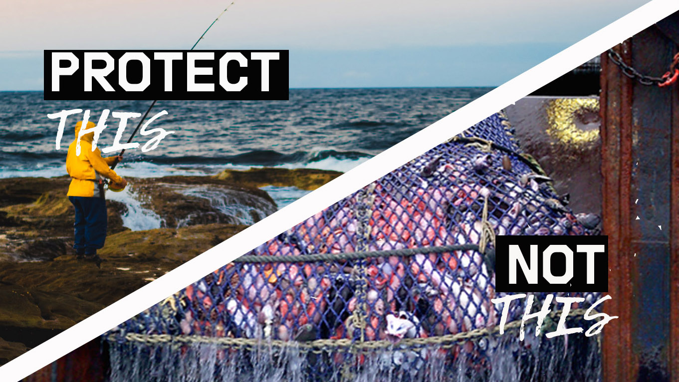 Protect oceans not bottom trawling