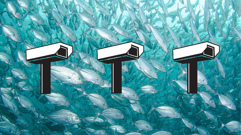 cameras on fishing boats needed for better transparency