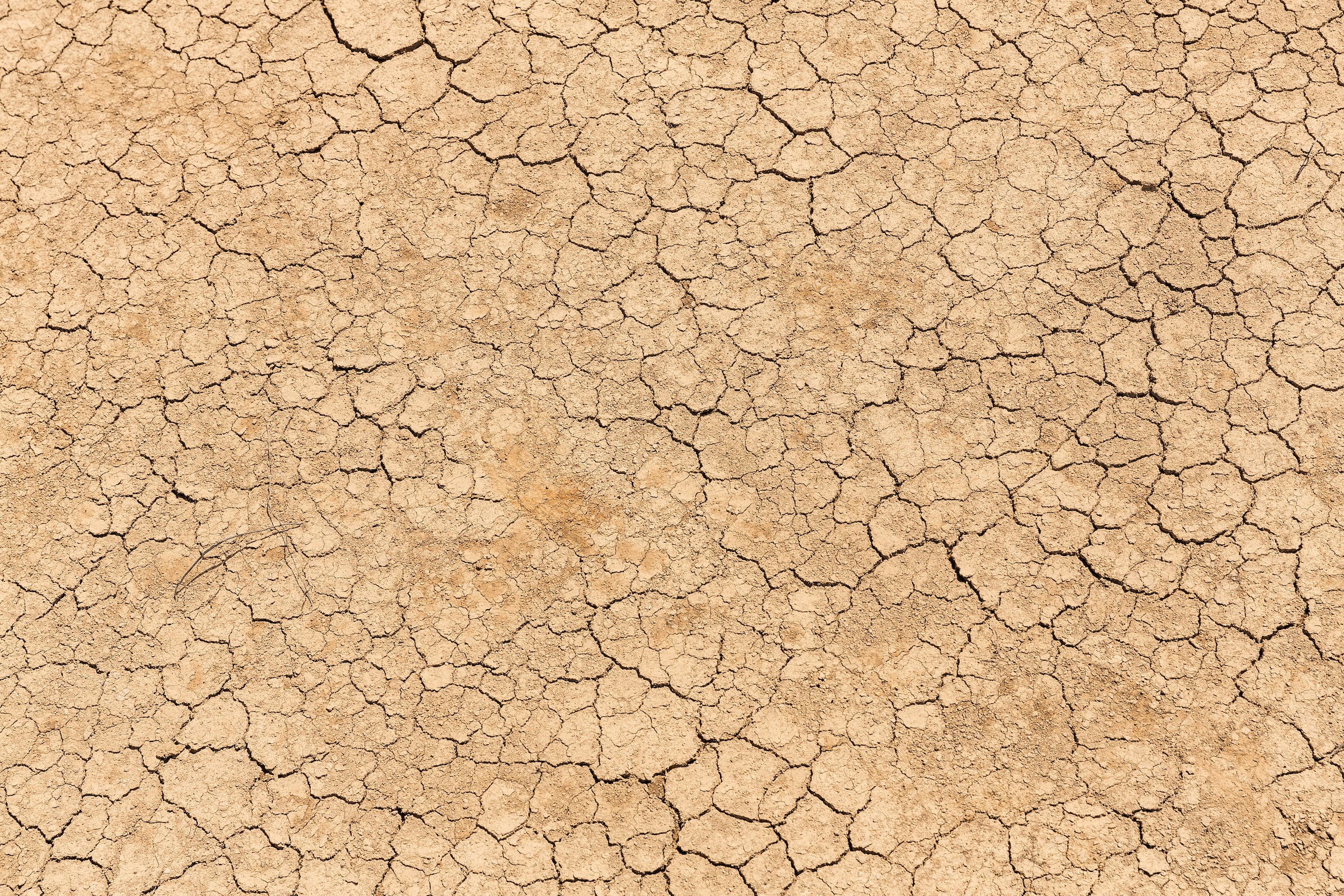 Soil cracking in Tasmania, Australia.