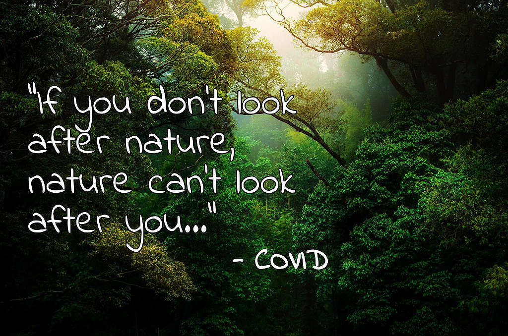 "If you don't look after nature, nature can't look after you" - Covid