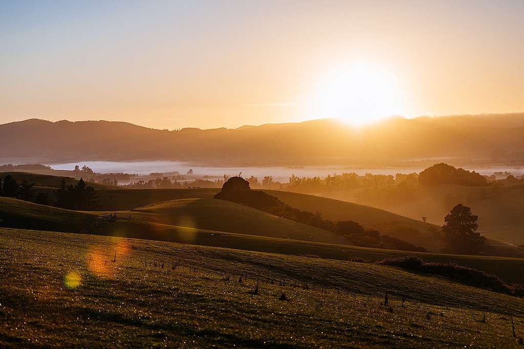 Catching a sunrise may help with Covid anxiety. Sunrise in Milton. Photo by Tim Marshall CC BY 2.0