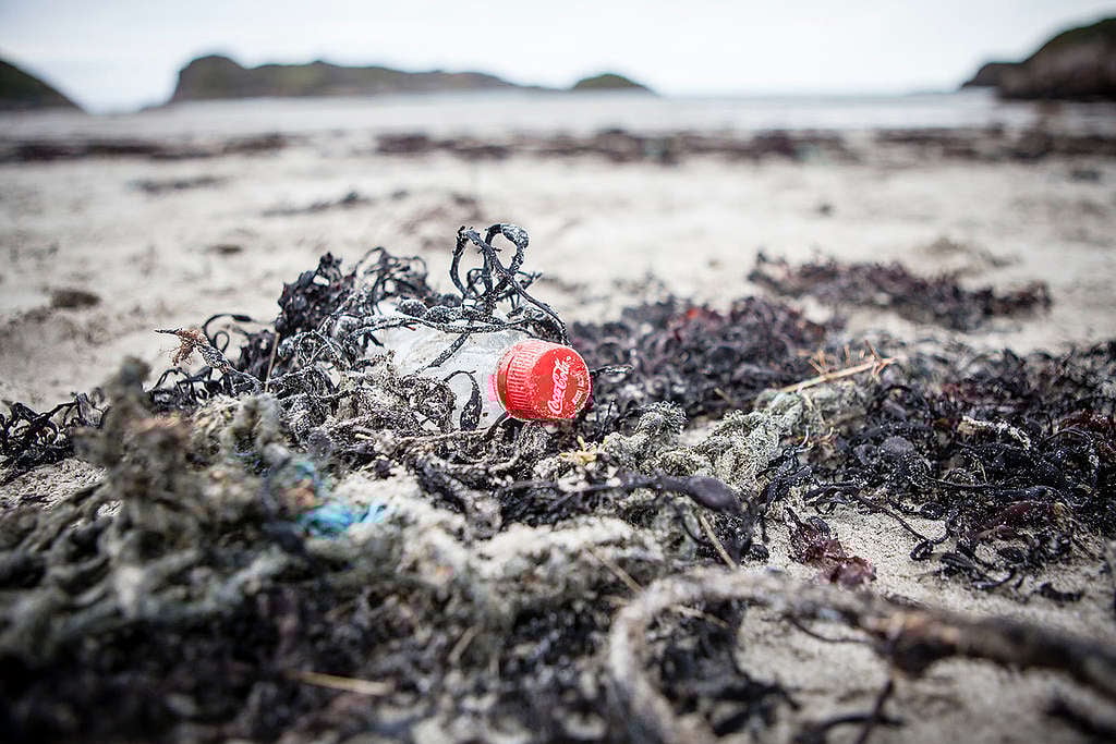 Coke Bottles Found on Mull Beach in Scotland. © Will Rose / Greenpeace Coke Bottles Found on Mull Beach in Scotland. © Will Rose / Greenpeace