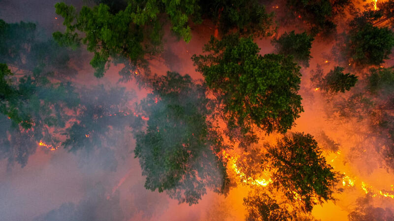 fires in siberia