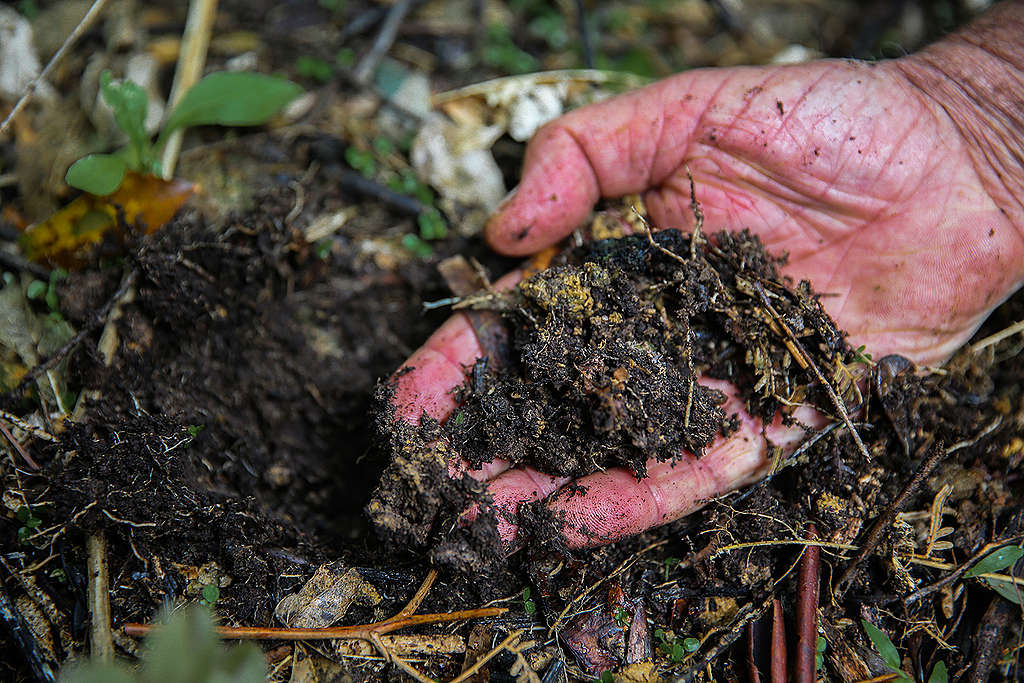Image of hand holding dark soil matter Image of hand holding dark soil matter