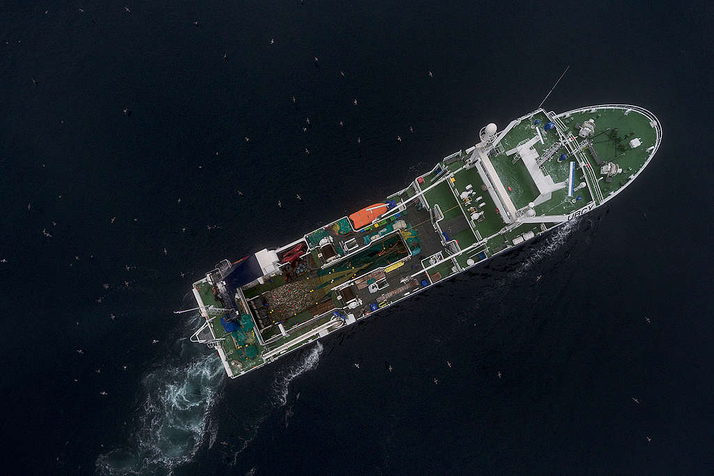Russian bottom trawler with the catch hauled onto deck, at Sjubrebanken on the west coast of Svalbard in Norway.