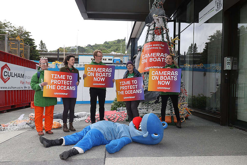 Greenpeace NZ activists deliver a Christmas tree to the Ministry of Oceans and Fisheries, calling for cameras on boats in order to curb destructive fishing practices.