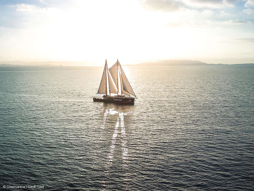 Rainbow Warrior Arrives in Auckland Five productive things to do in lockdown - 5. make a will
