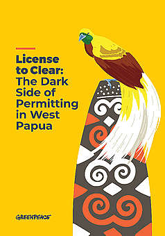 Palm Oil Who S Still Trashing Forests Greenpeace Aotearoa