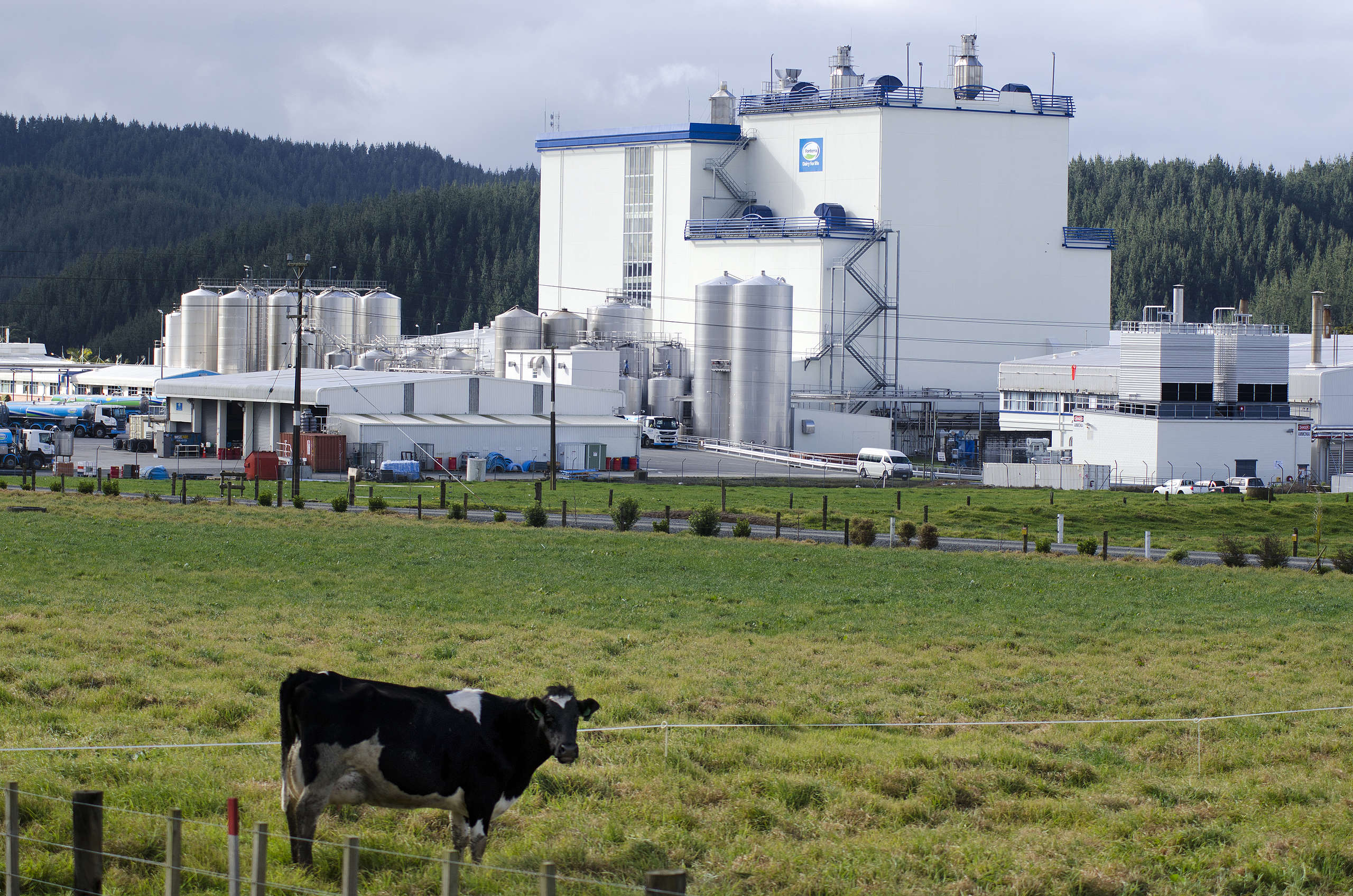 $26b in dirty money: Fonterra cashes in after contaminating drinking water