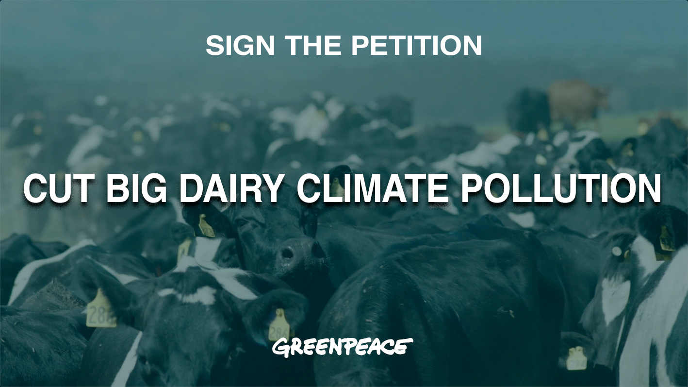 Petition Cut climate pollution from big dairy
