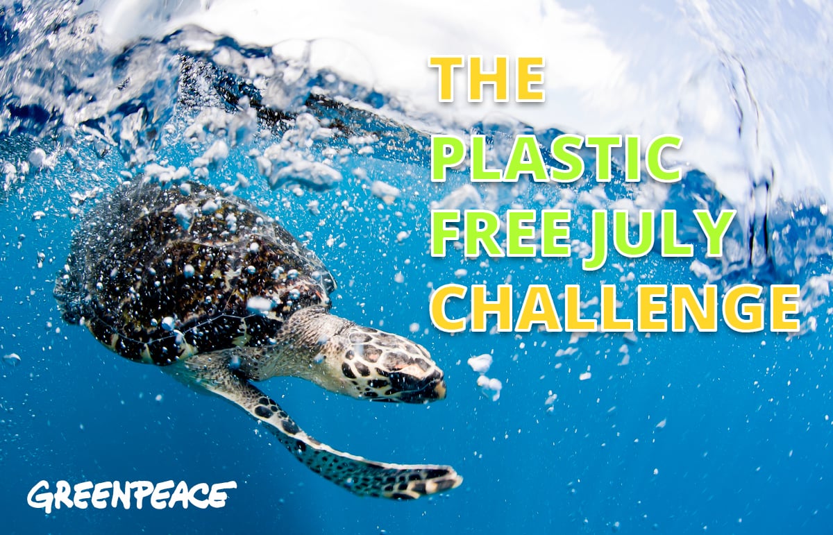 Seven ways to go plastic free for #PlasticFreeJuly, - Greenpeace