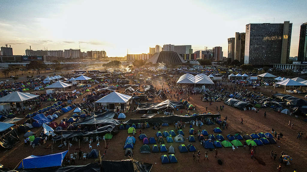 A win for Indigenous Peoples in Brazil is a win for the whole world in the fight against climate change. © Leo Otero / Greenpeace