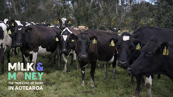 Milk & Money, Episode 6: Milk