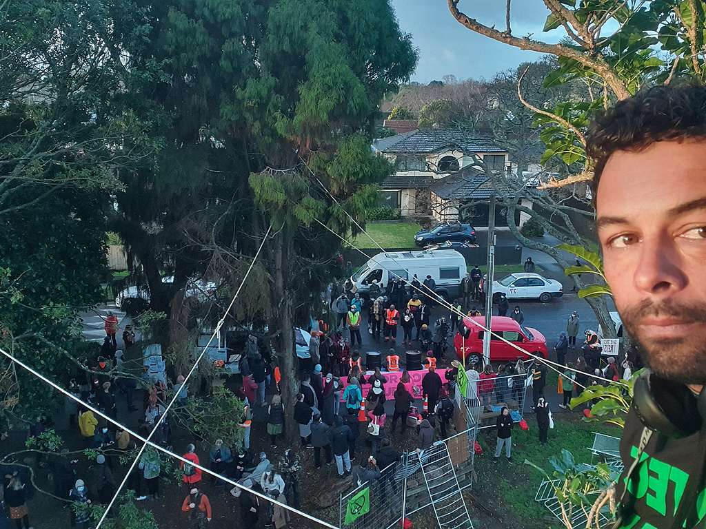 Zane Wedding occupies a tree at the Canal Road tree protest
