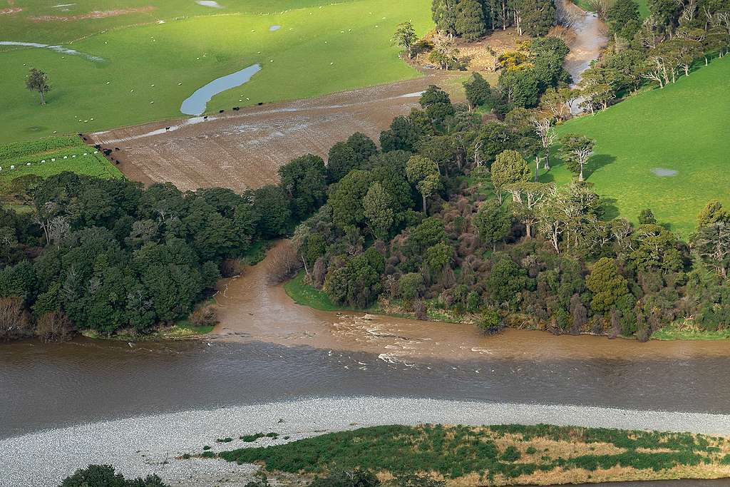 Winter grazing Southland Otago - Geoff Reid