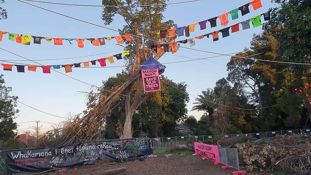 Canal Road tree protest