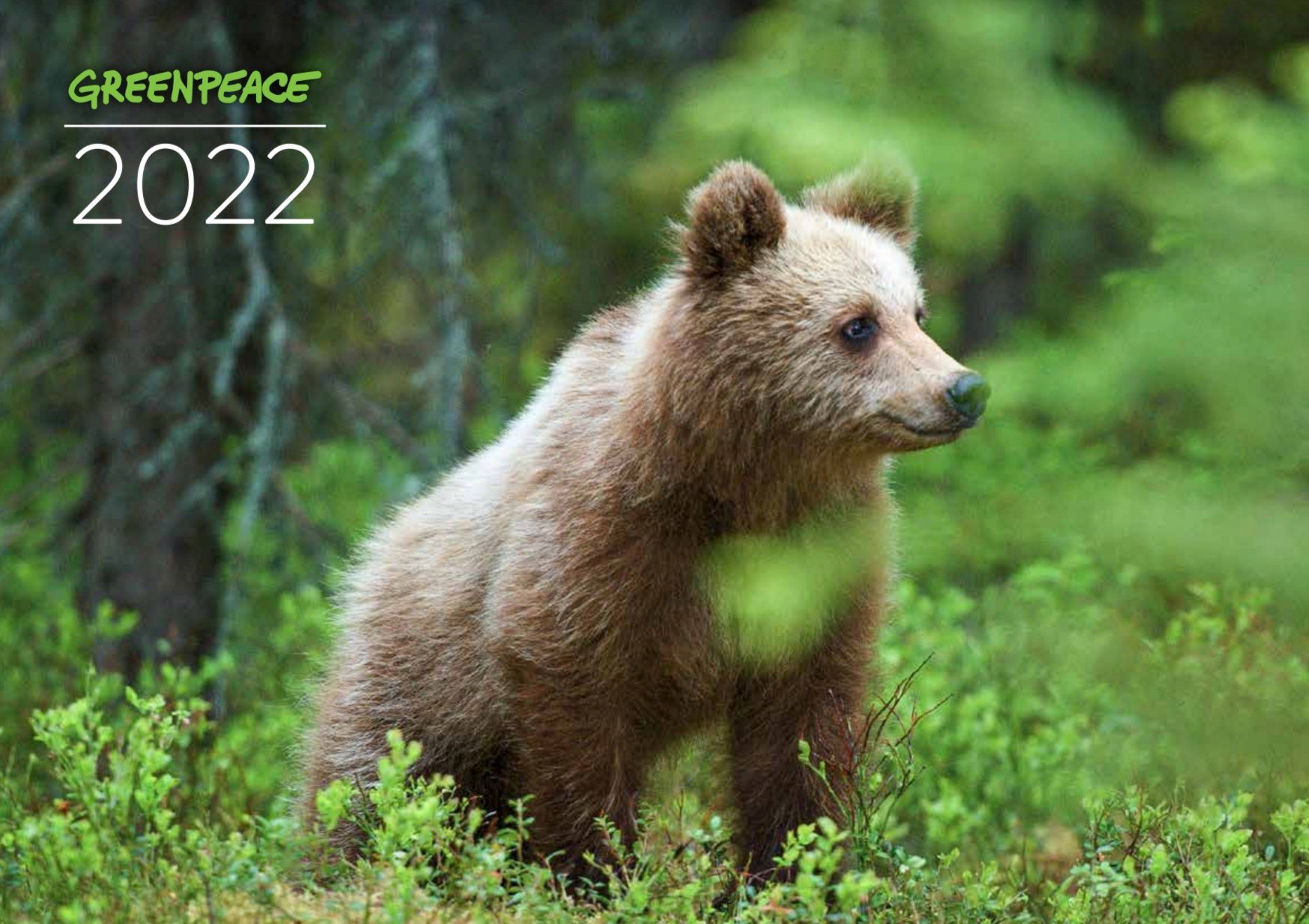 2022 Calendar Greenpeace Aotearoa