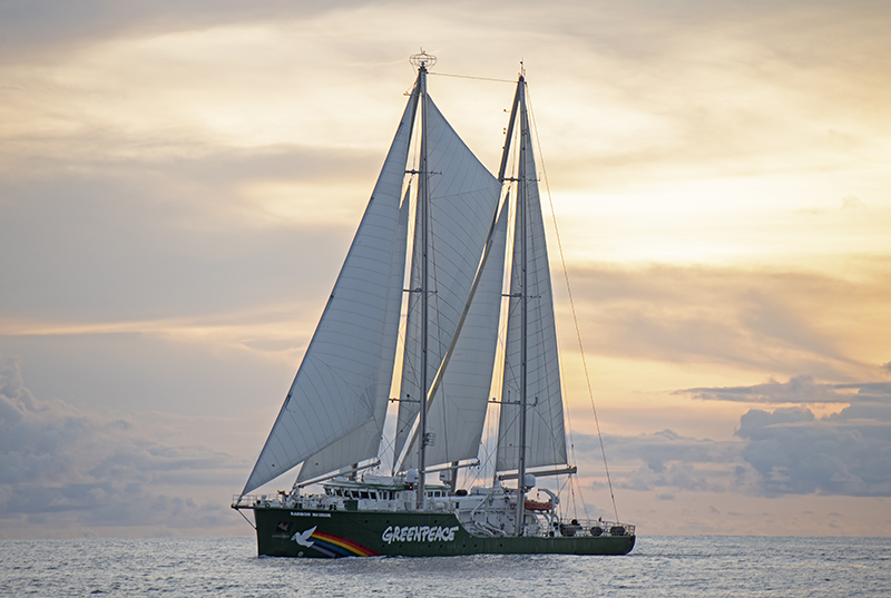 Greenpeace Calendar 2022 Canada