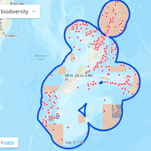 New report and map shows Aotearoa’s deep-sea corals vastly unprotected from trawling