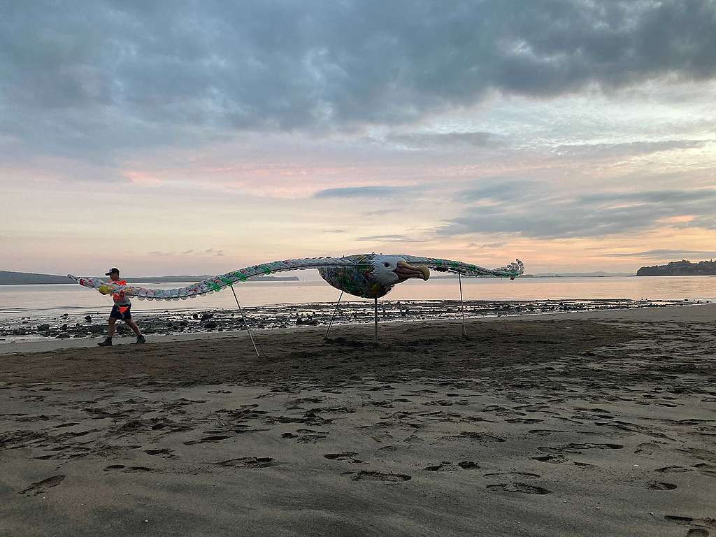 The haunting artwork is made out of single-use plastic bottles, and crafted in honour of a toroa who starved to death after swallowing a plastic bottle.