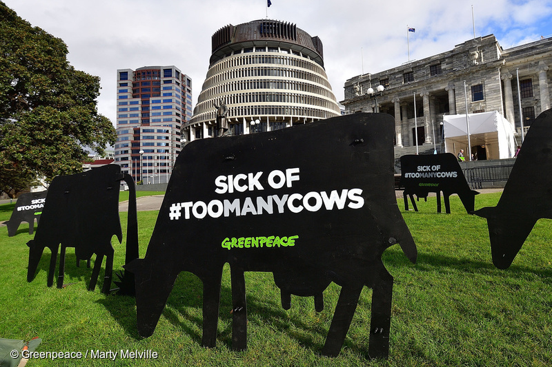 image is of cow cut out that says "Sick of #TOOMANYCOWS Greenpeacein front of parliament - taken at a petition delivery event