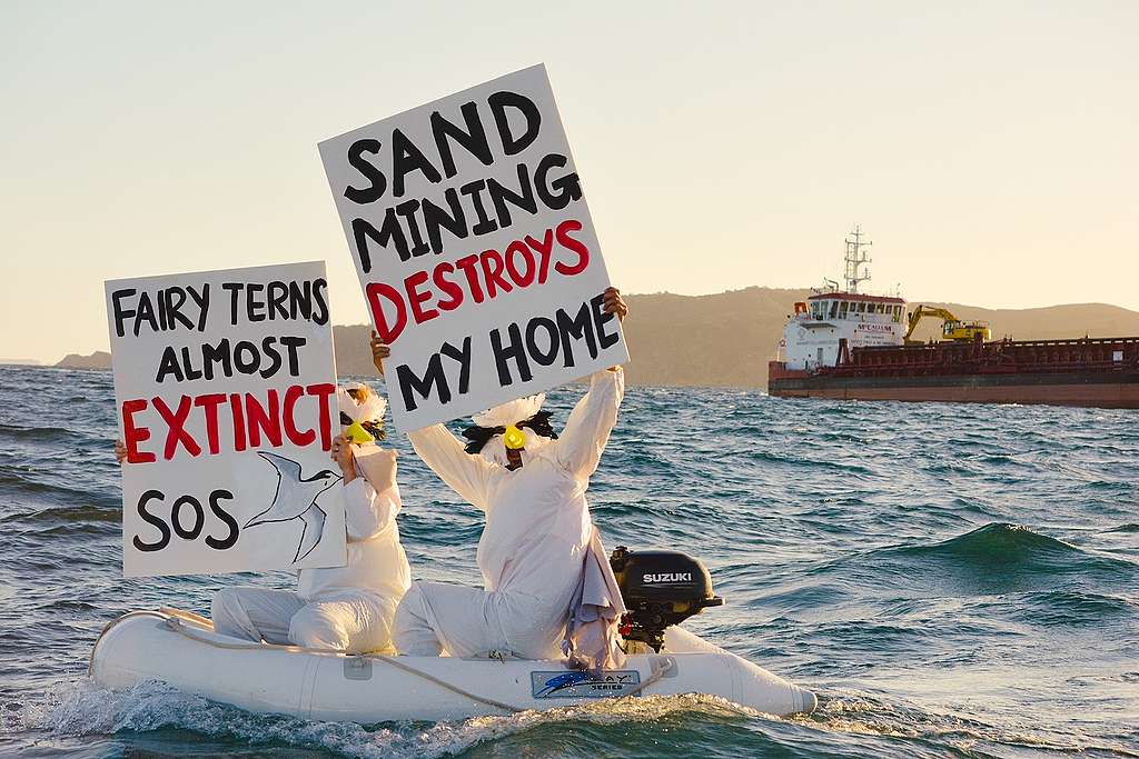 Two activists on a small boat in bird costumes holding placards - sand mining destroys my home